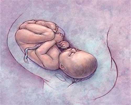 代孕机构_31周胎儿多久动一次