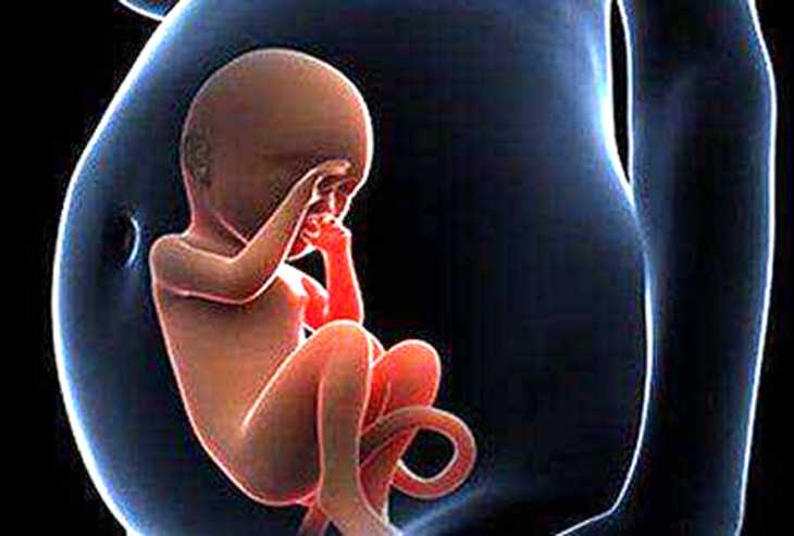 E试管：卵巢功能下降试管婴儿|怎么给试管婴儿上一份保险